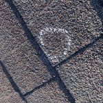 Storm Damage, Tree Damage, Hail Damage. Help repair my roof!