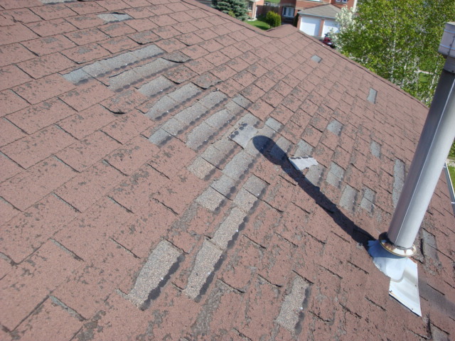 4 Signs of Worn Shingles on your Roof