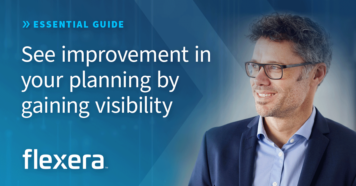 The Practical Guide to IT Visibility