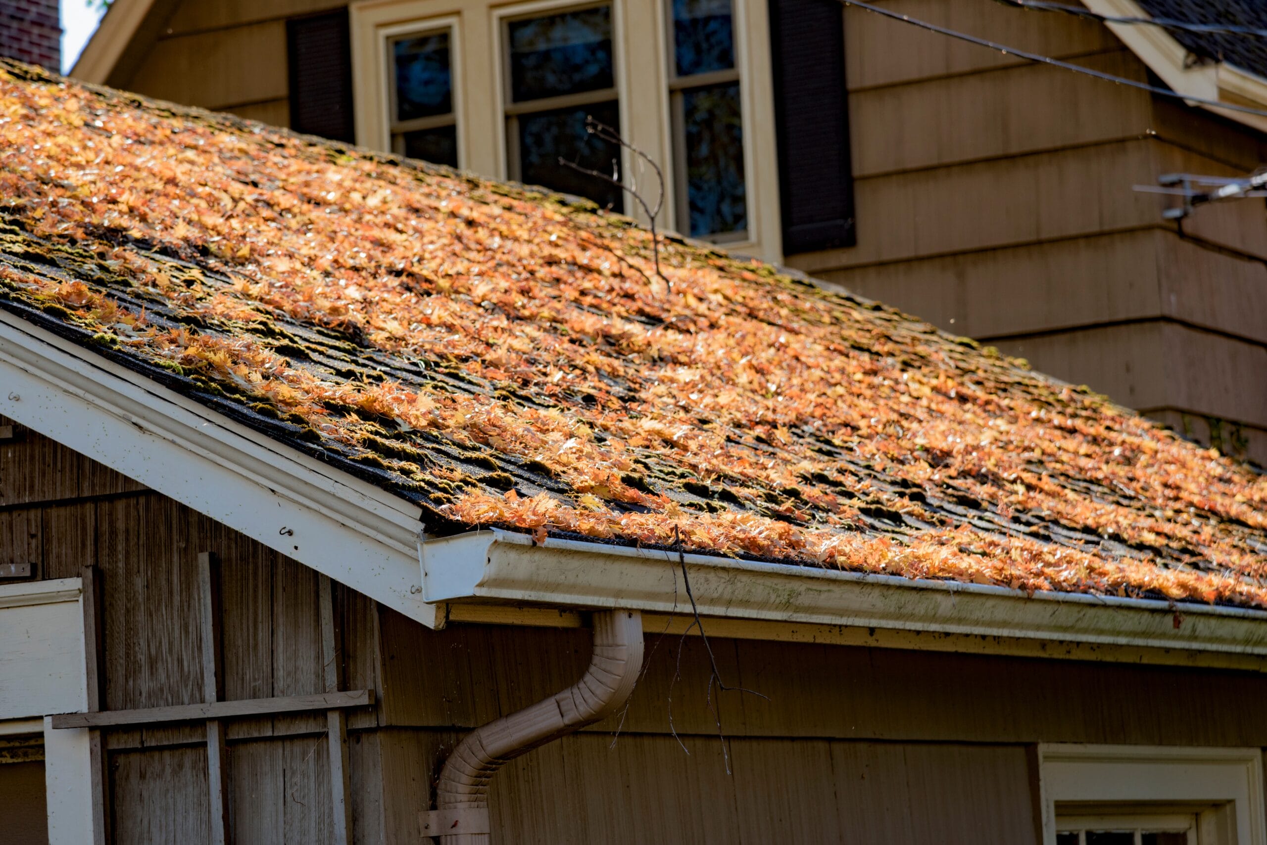 Storm Damage: 3 Common Spring Weather Roof Problems in Houston