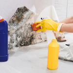 The Dangers of DIY Mold Removal: Why Professional Remediation is Essential
